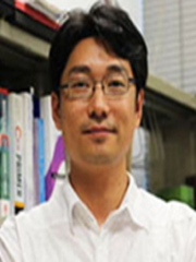 褚晓文 教授