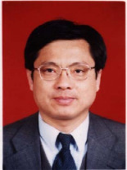 刘云 (青岛科技大学教授)